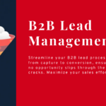 b2b lead management company